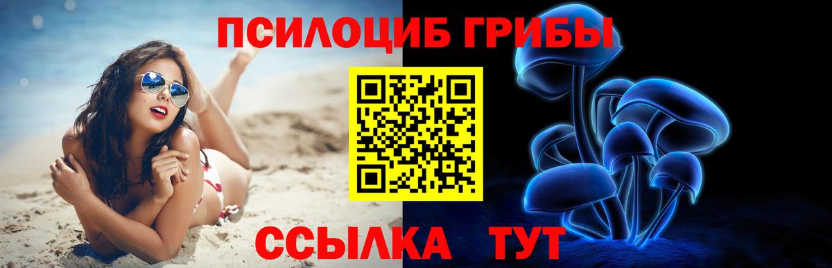 Псилоцибиновые грибы GOLDEN TEACHER  Вход с VPN  Шелехов 