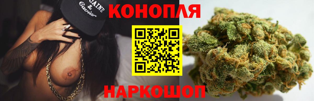Канабис сатива Шелехов